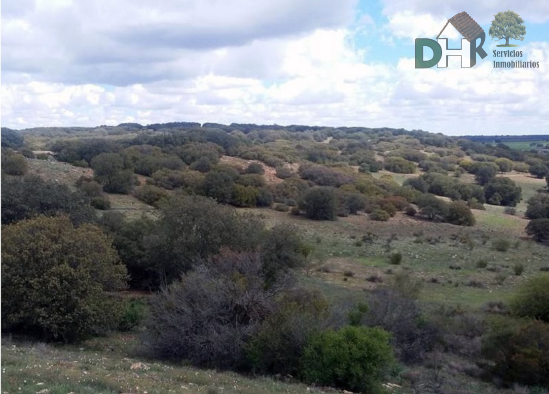 For sale of land in Ciudad Real