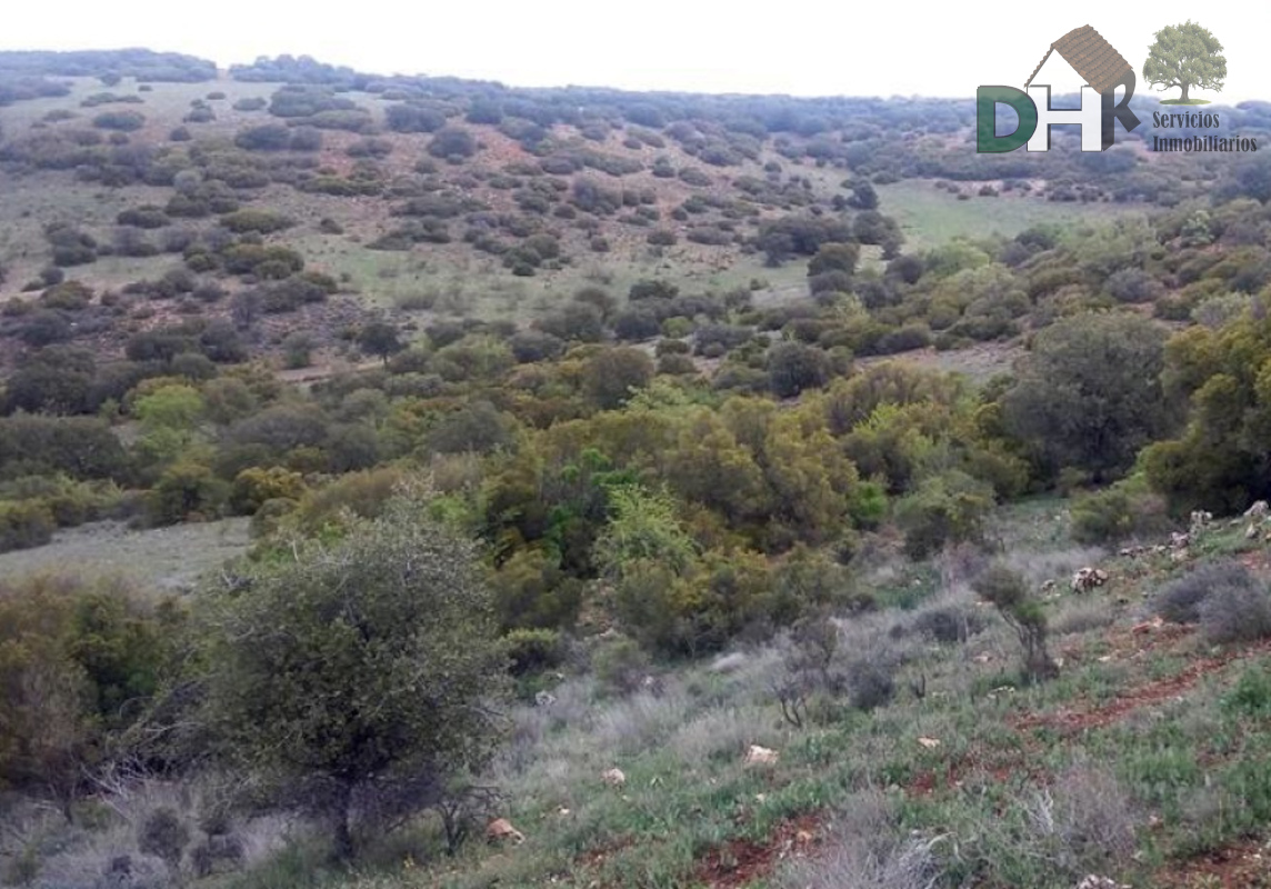For sale of land in Ciudad Real