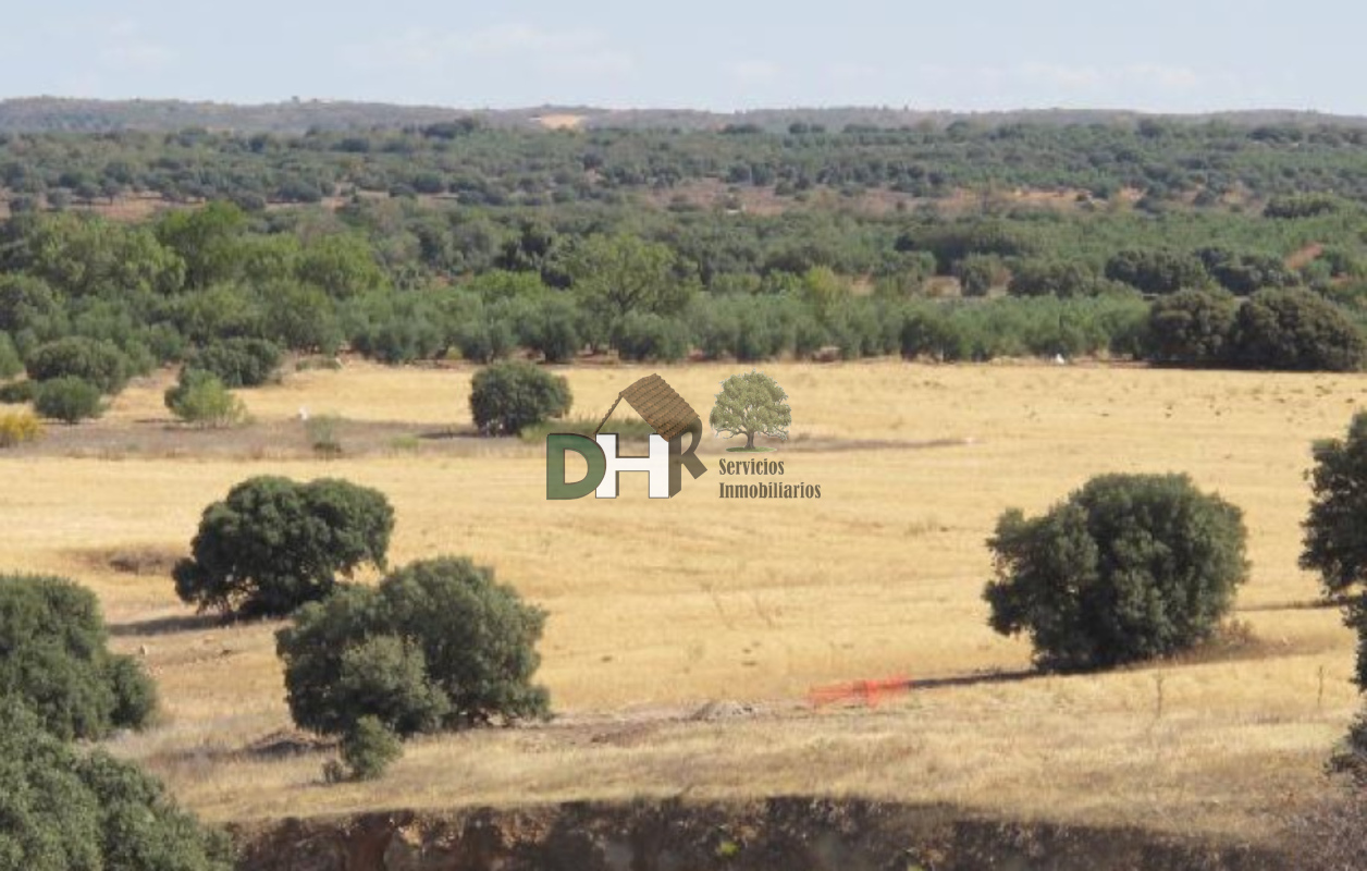 For sale of land in Ciudad Real