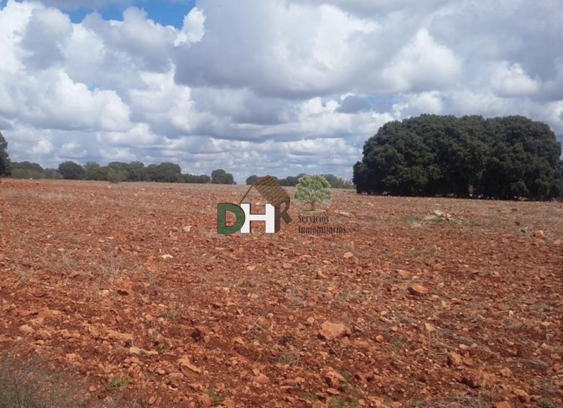 For sale of land in Ciudad Real