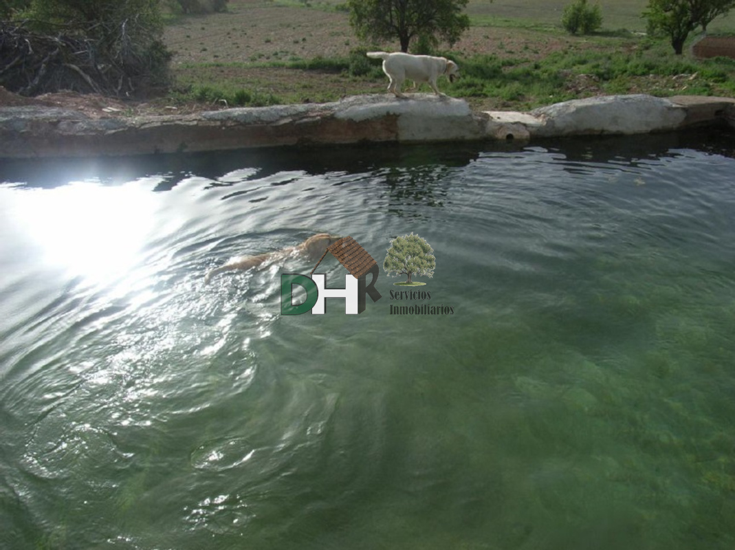 For sale of land in Ciudad Real
