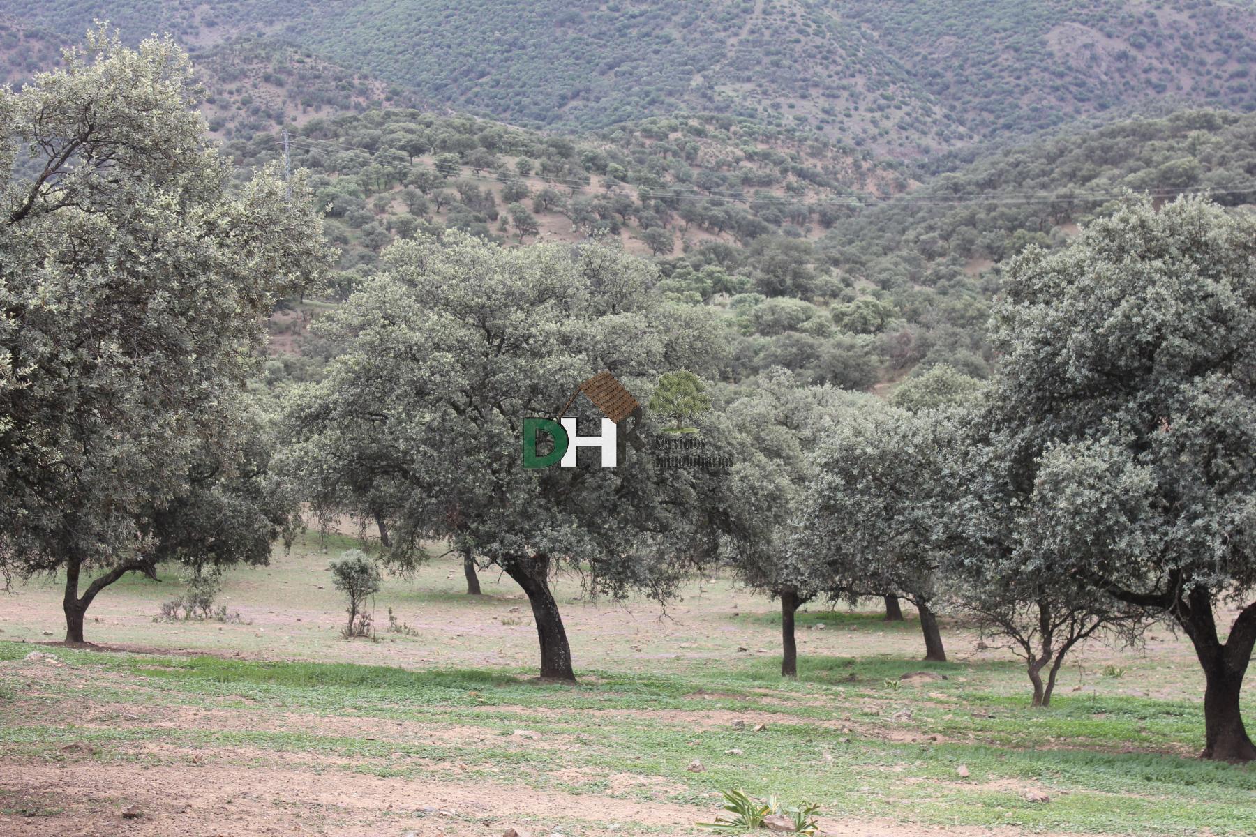 Venta de terreno en Ciudad Real