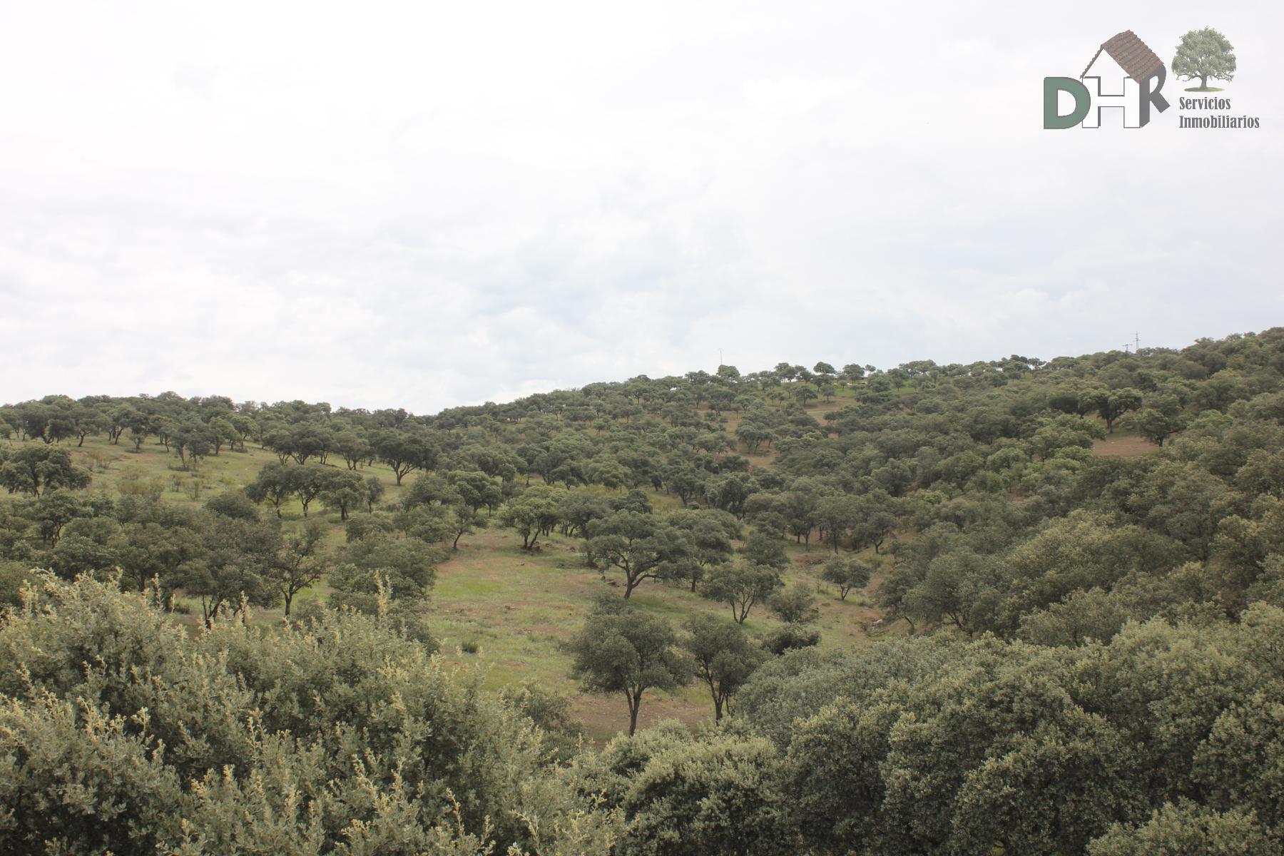 Venta de terreno en Ciudad Real