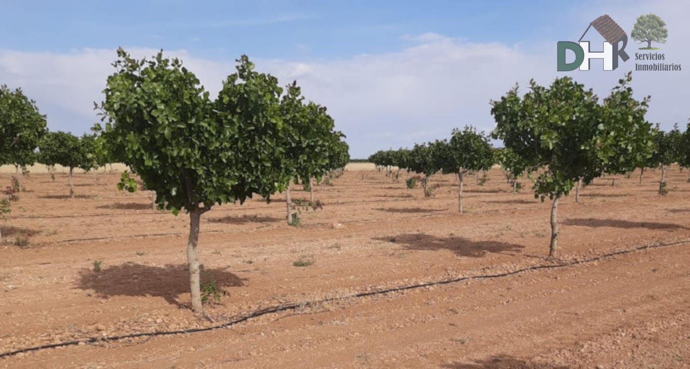 Venta de terreno en Ciudad Real