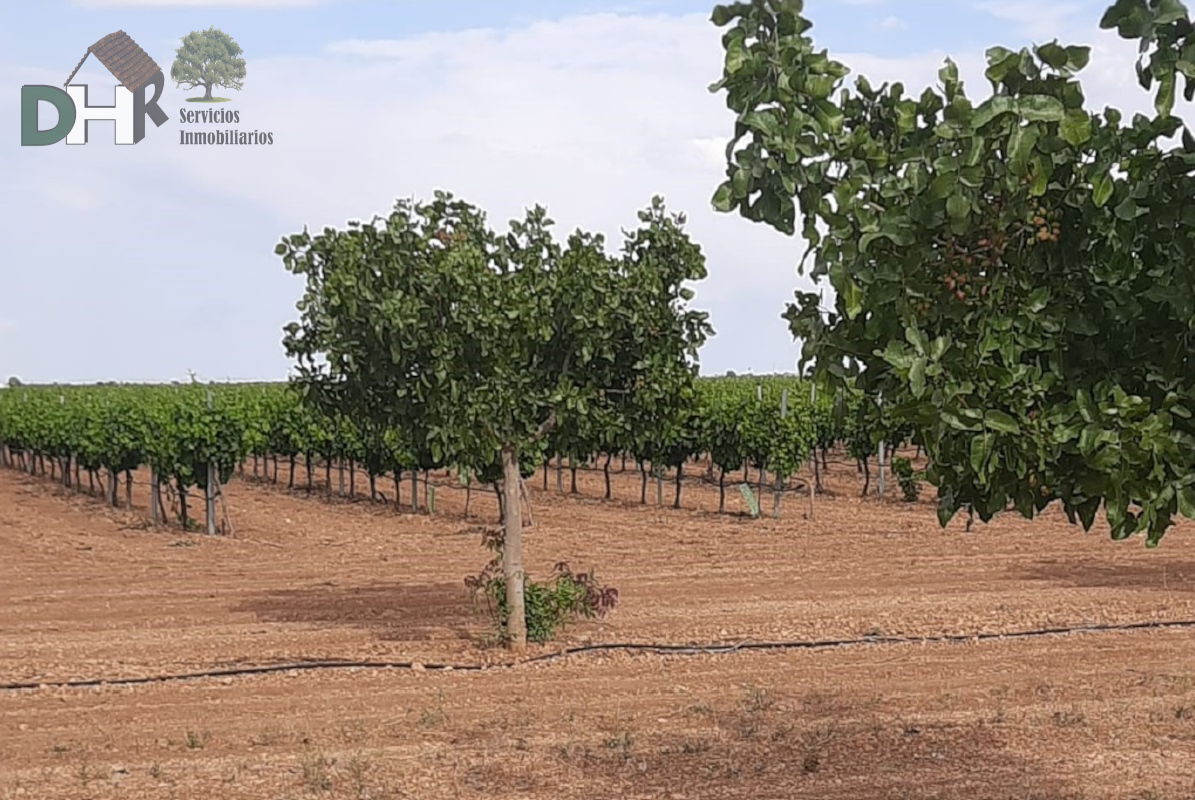 Venta de terreno en Ciudad Real