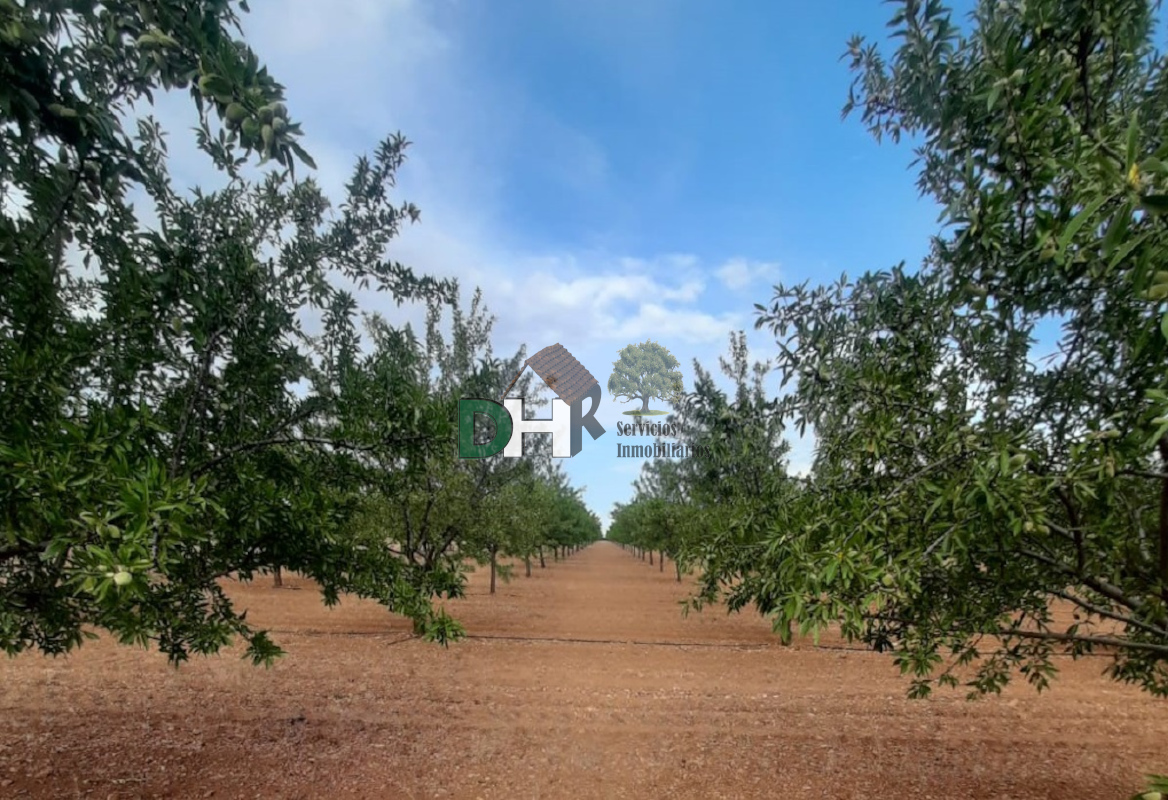 Venta de terreno en Ciudad Real