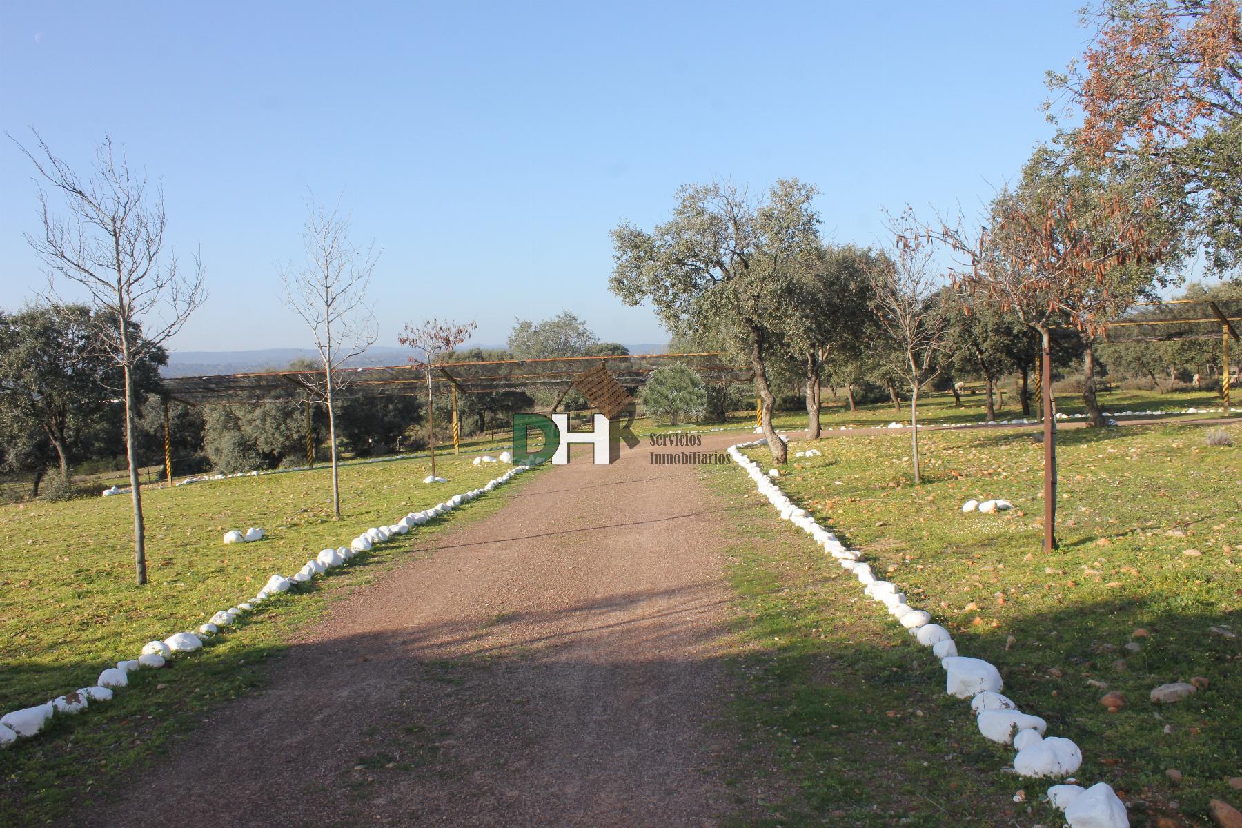 For sale of land in Cáceres