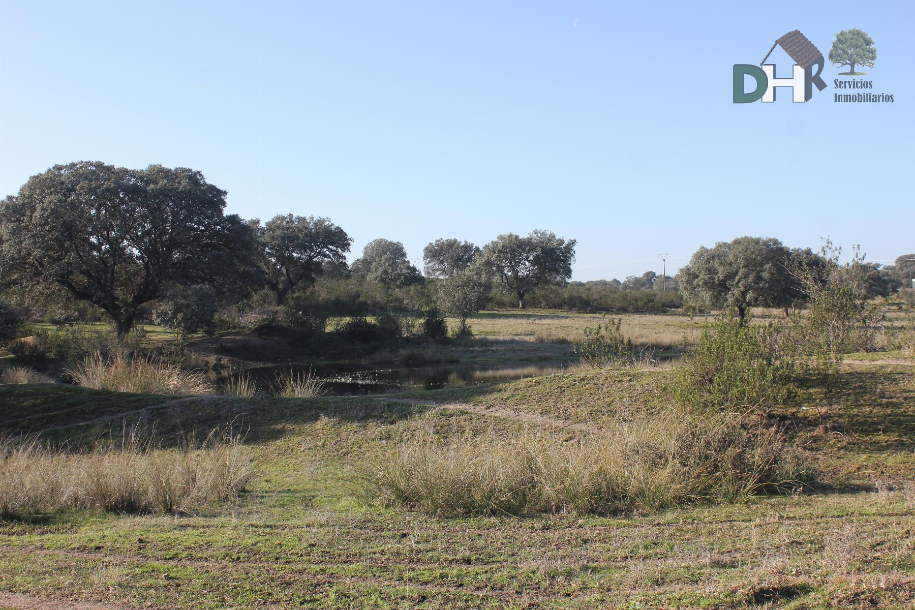For sale of land in Cáceres