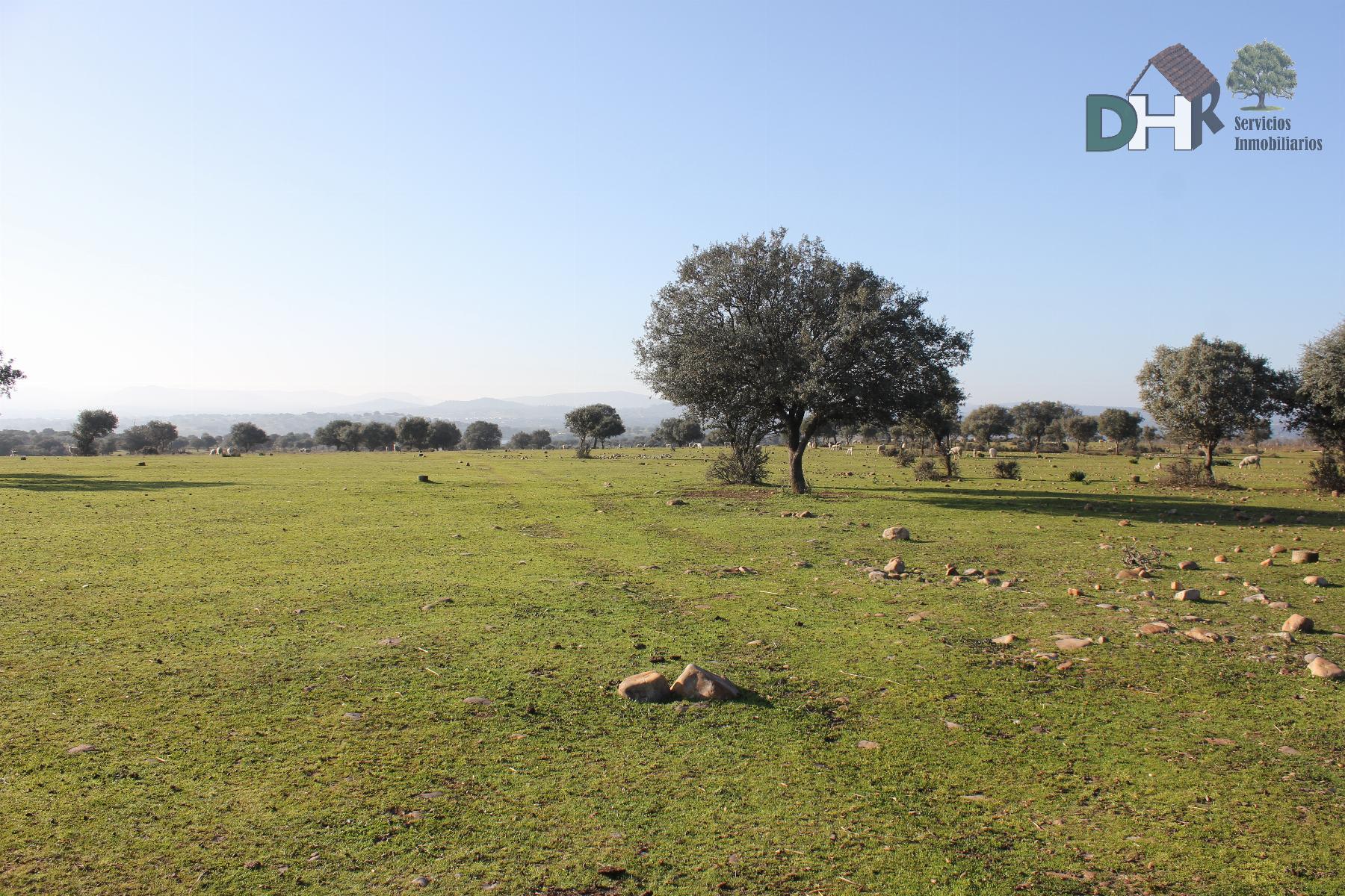For sale of land in Cáceres
