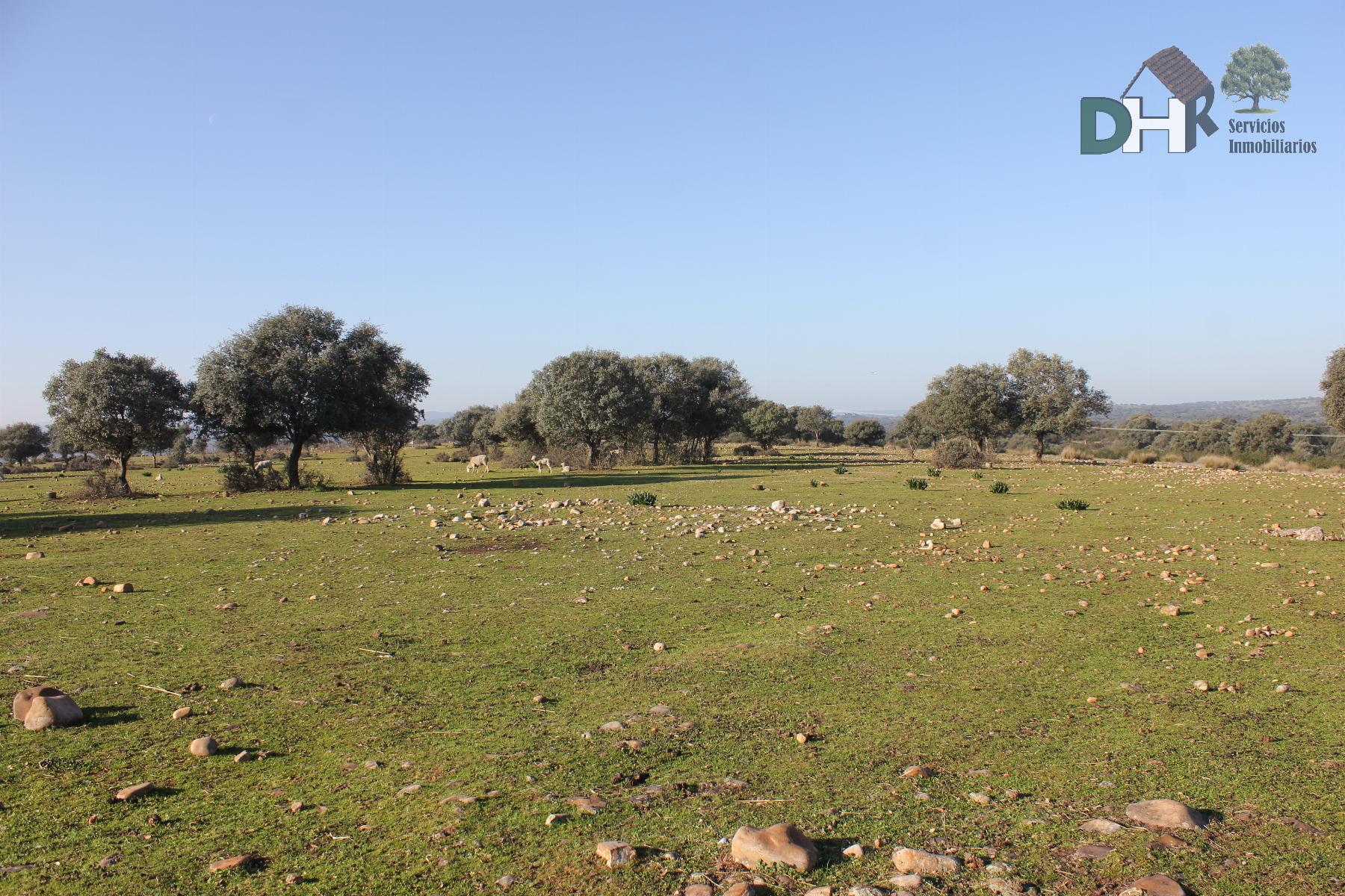 For sale of land in Cáceres