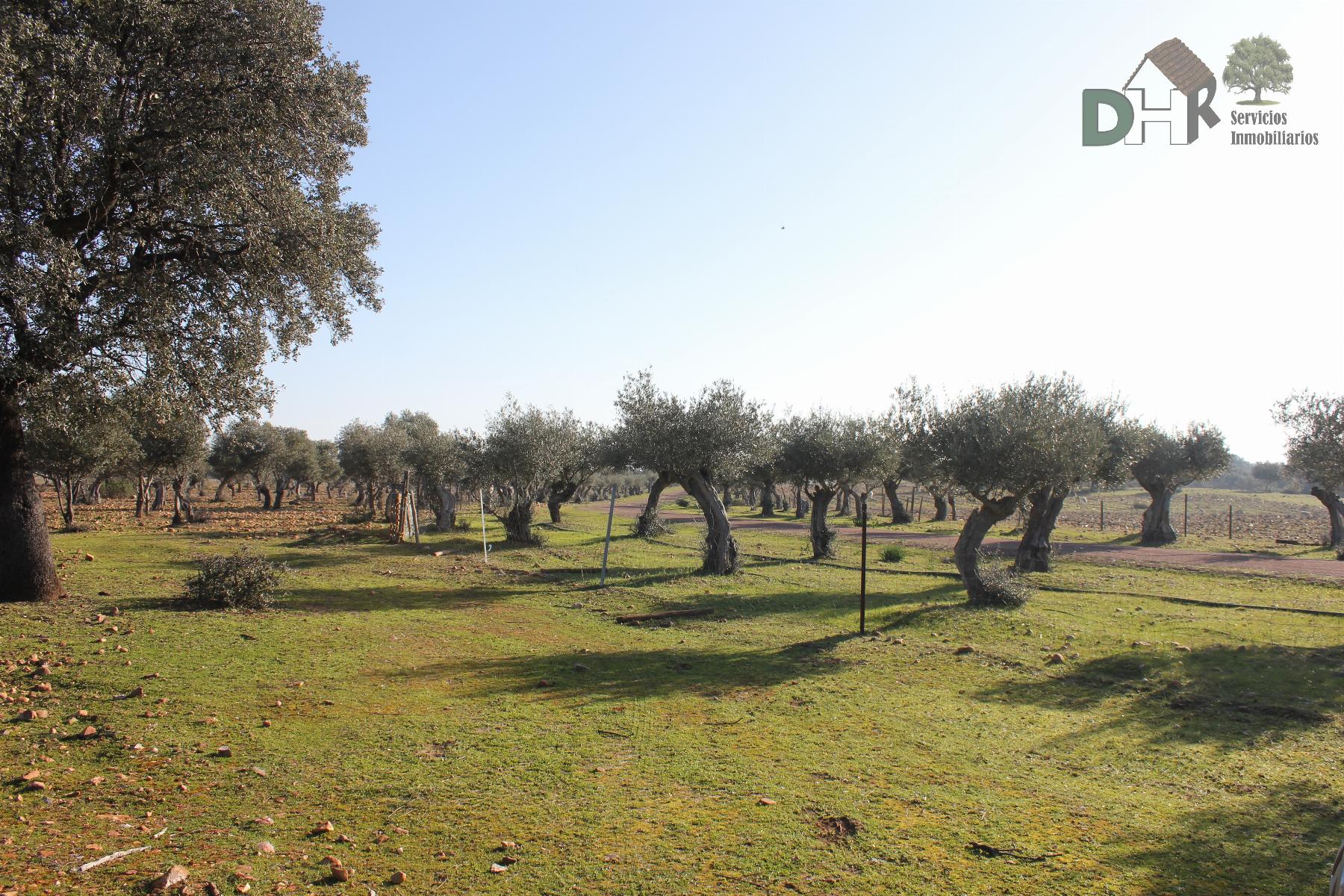 For sale of land in Cáceres