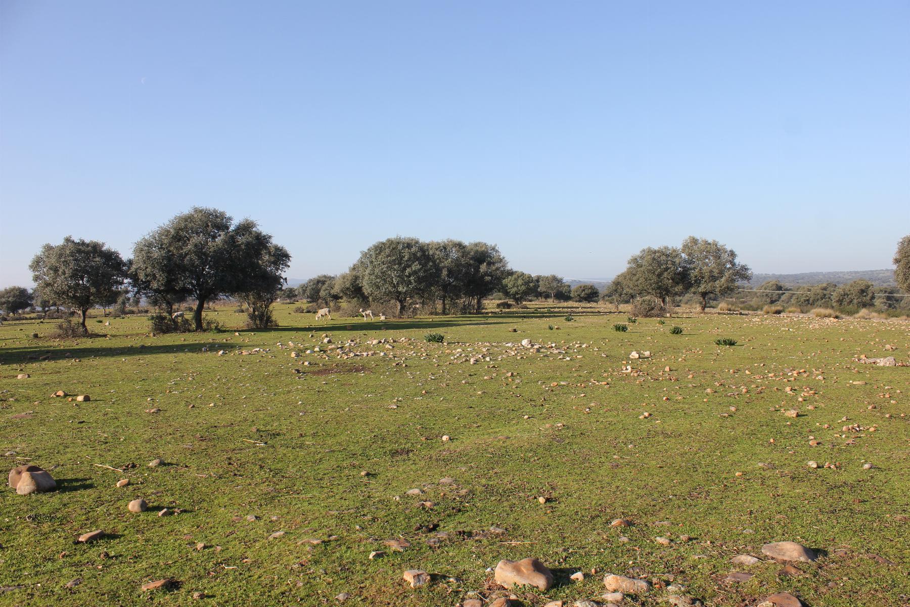 Venta de terreno en Cáceres