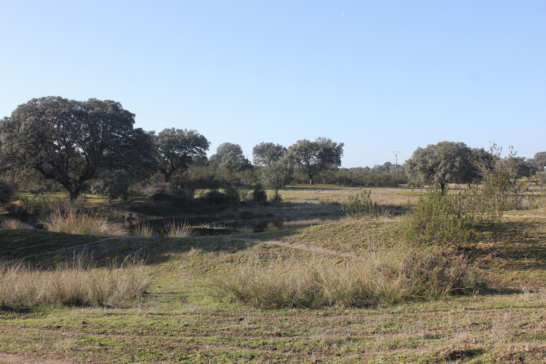 Venta de terreno en Cáceres