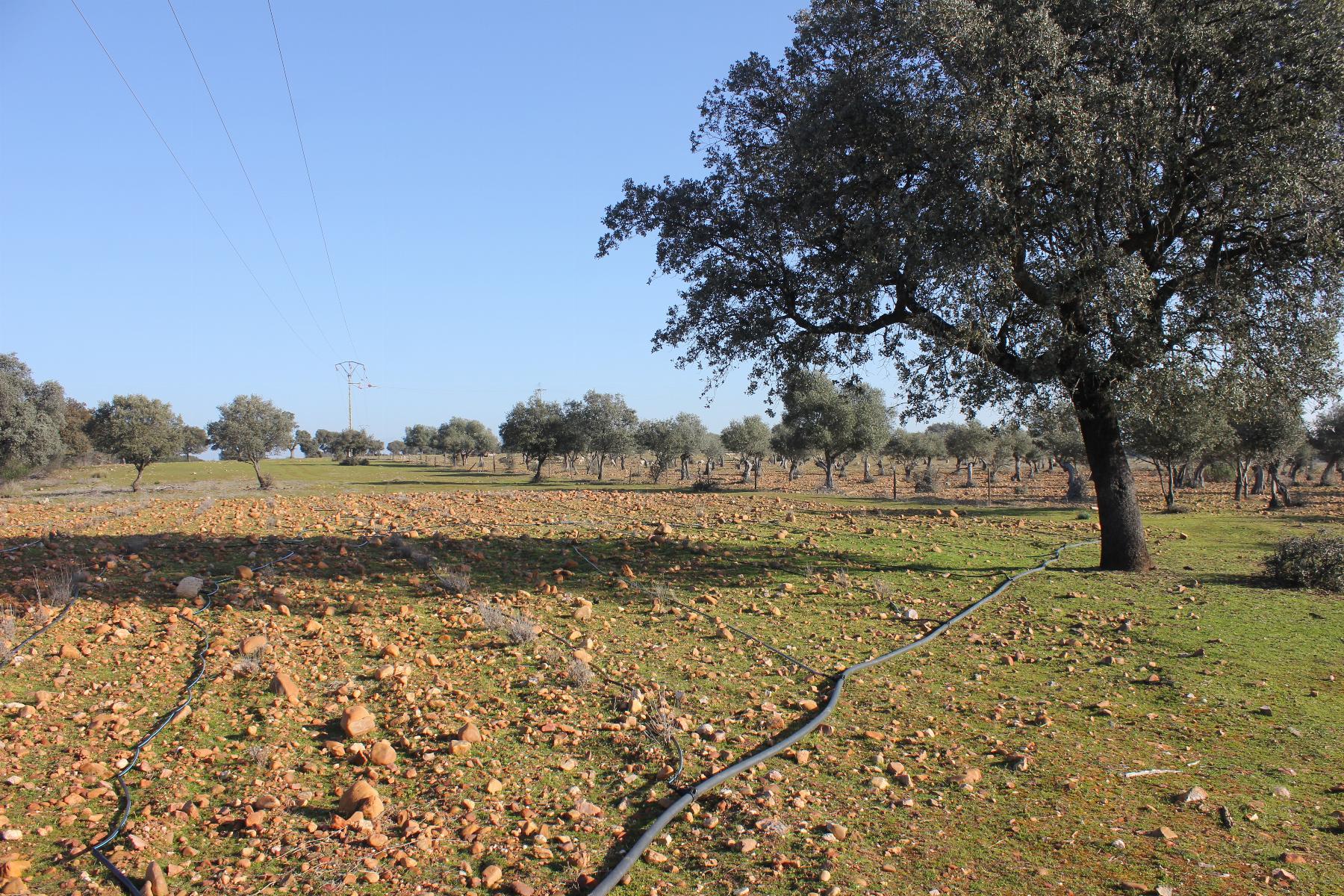 Venta de terreno en Cáceres