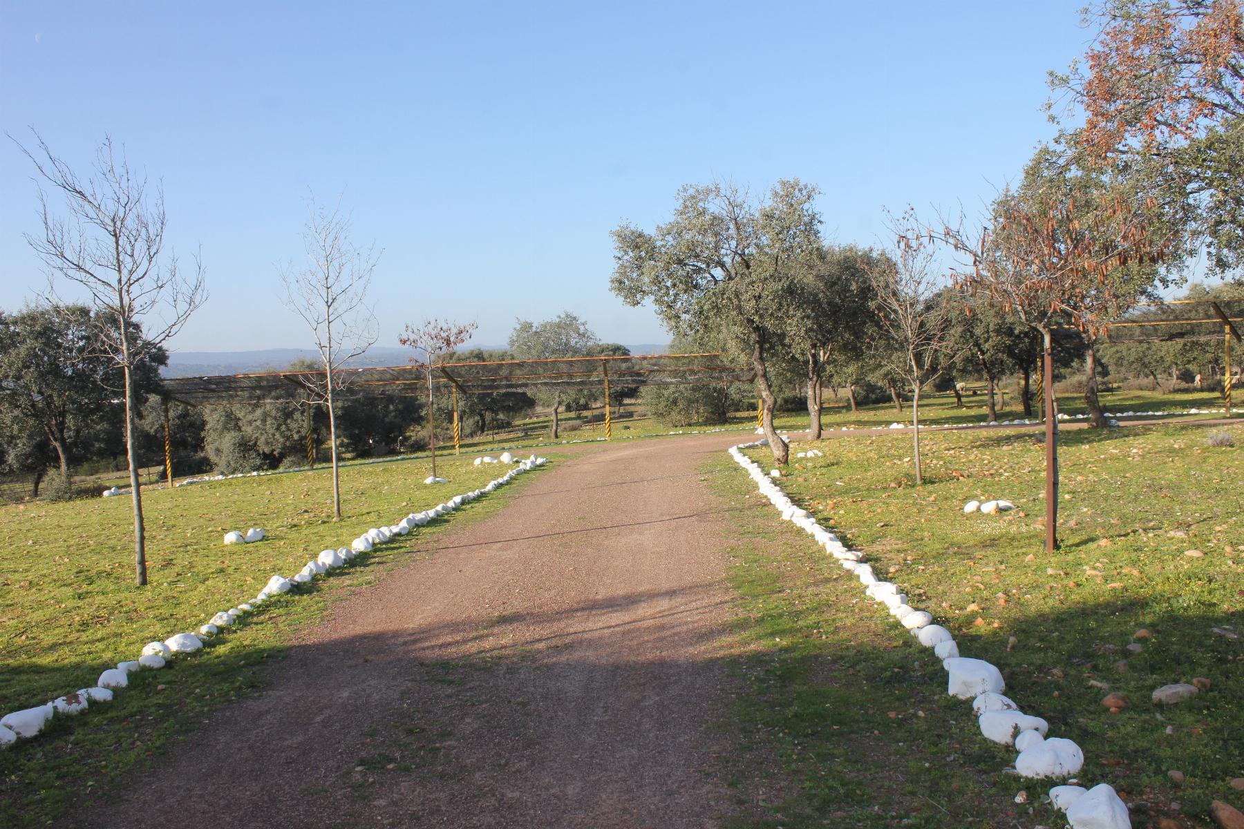 Venta de terreno en Cáceres