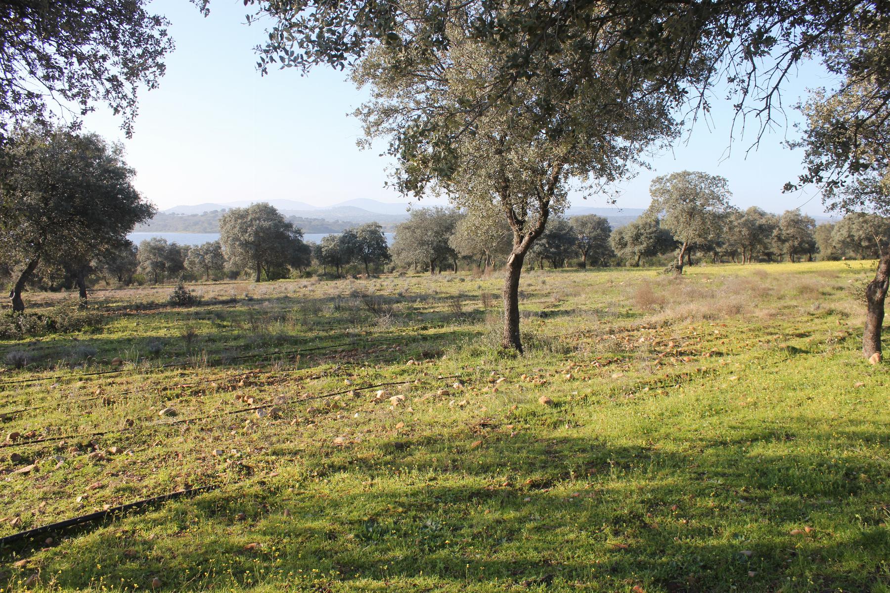 Venta de terreno en Cáceres