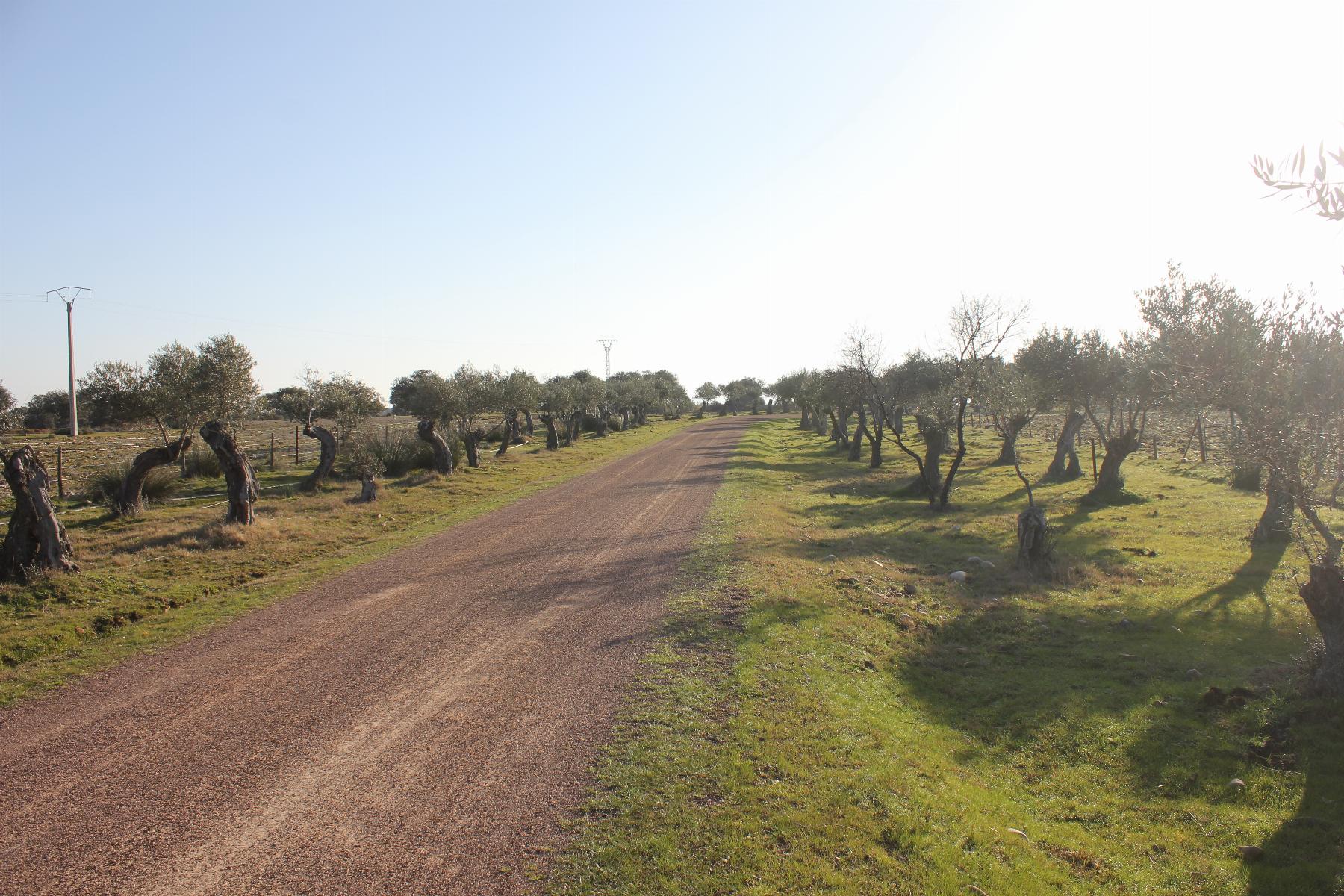 Venta de terreno en Cáceres