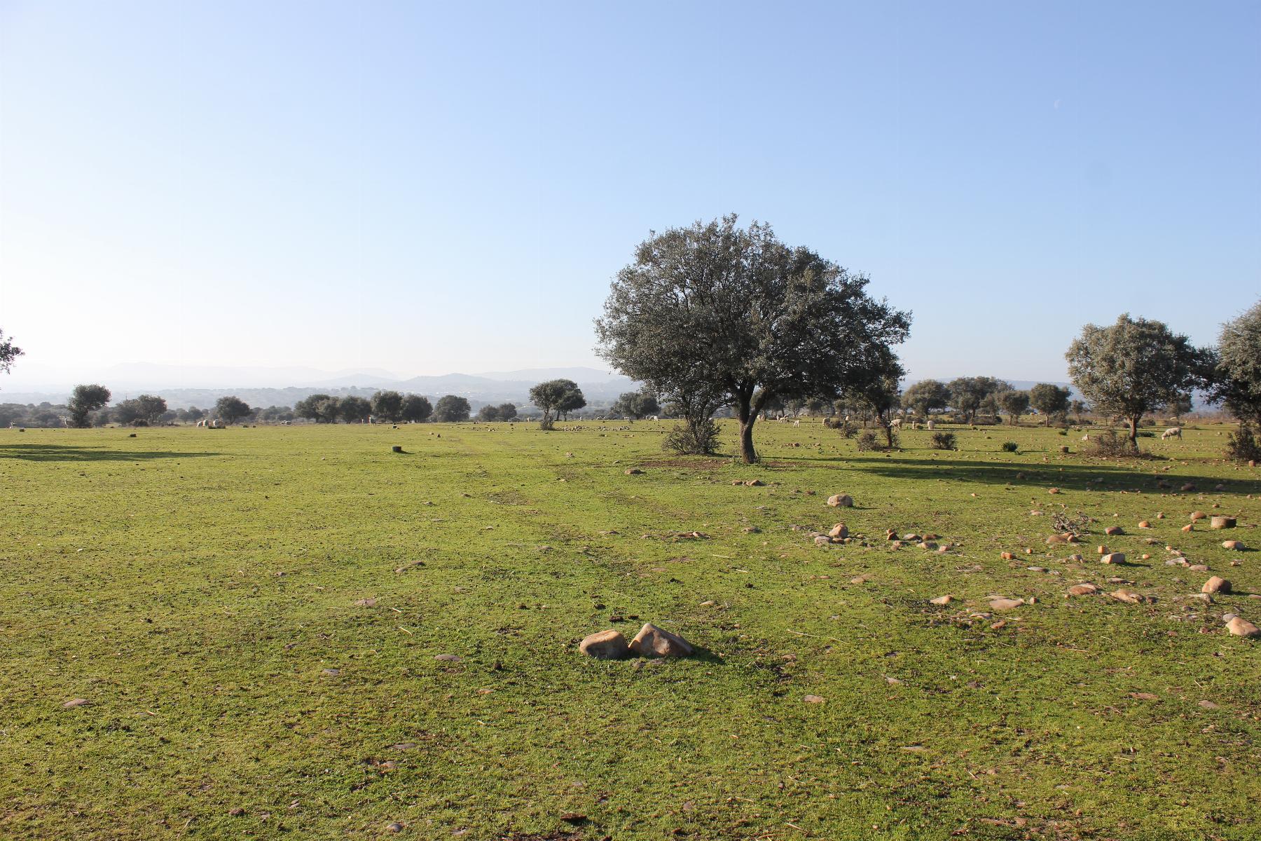 Venta de terreno en Cáceres