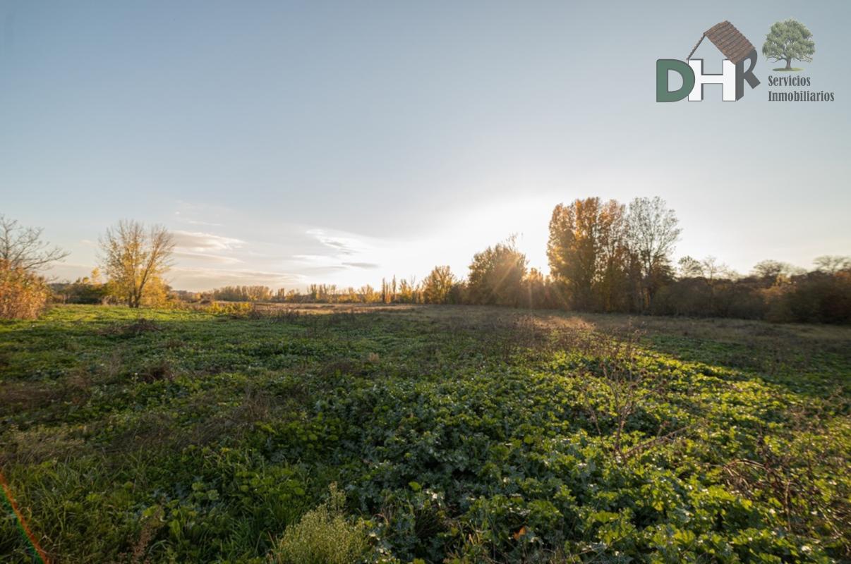 Venta de terreno en Madrid