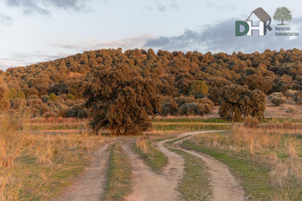 Venta de terreno en Madrid