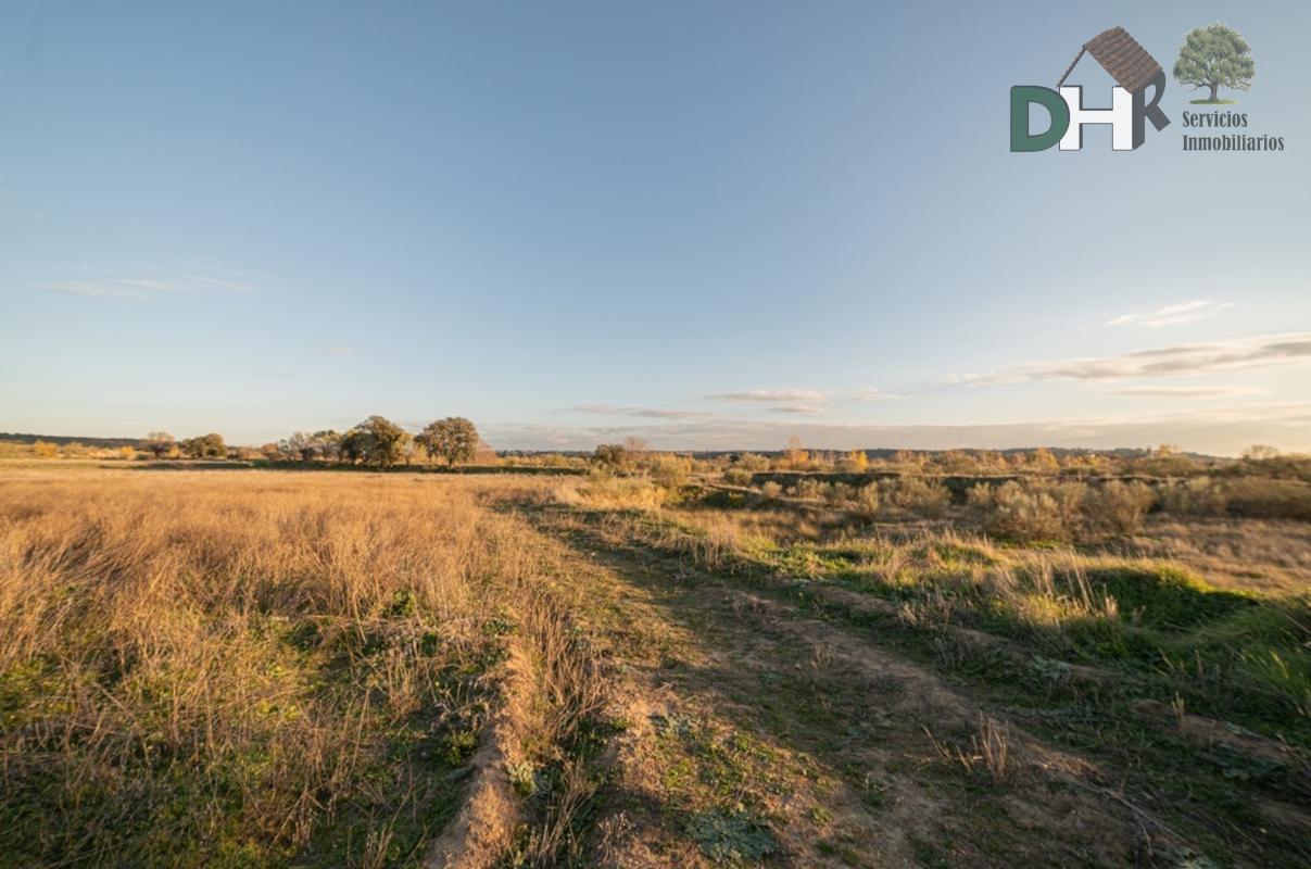 Venta de terreno en Madrid