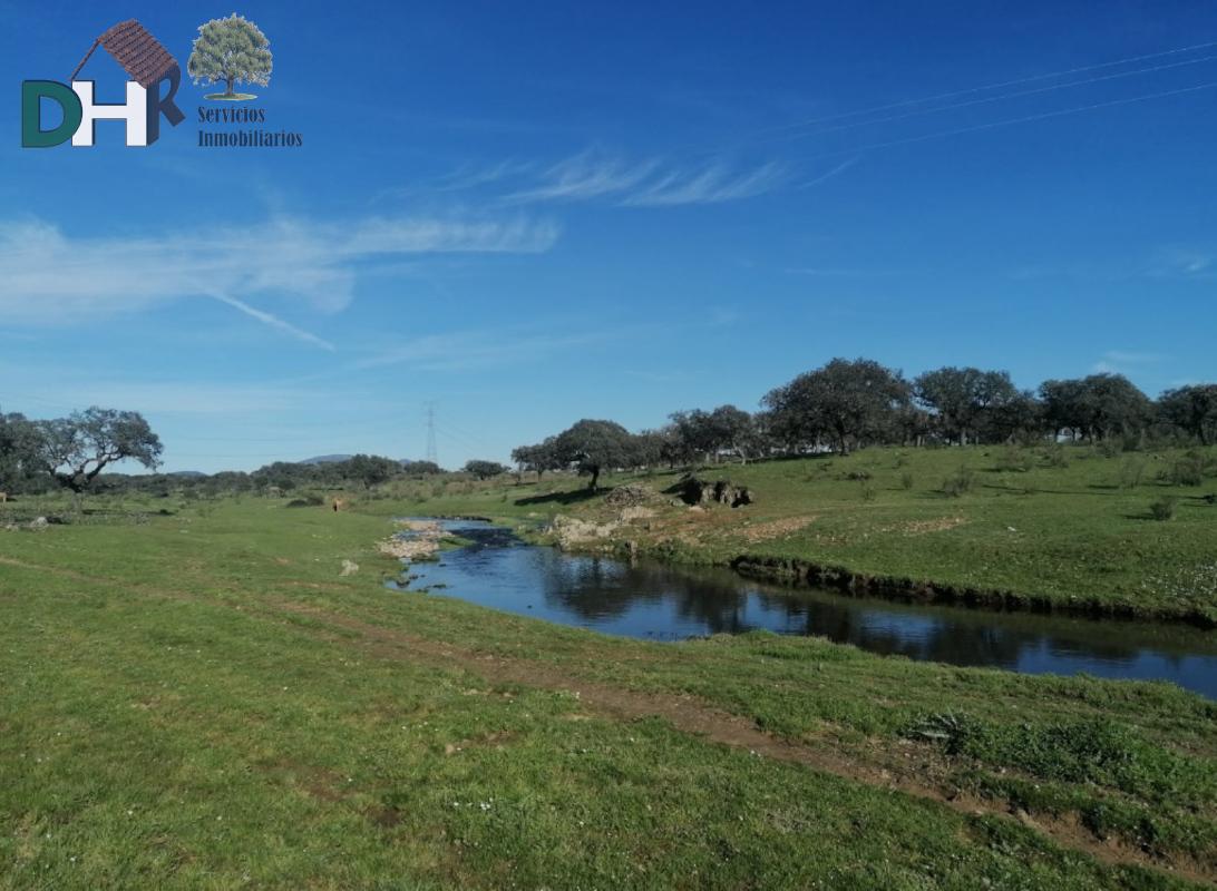 For sale of land in Cáceres