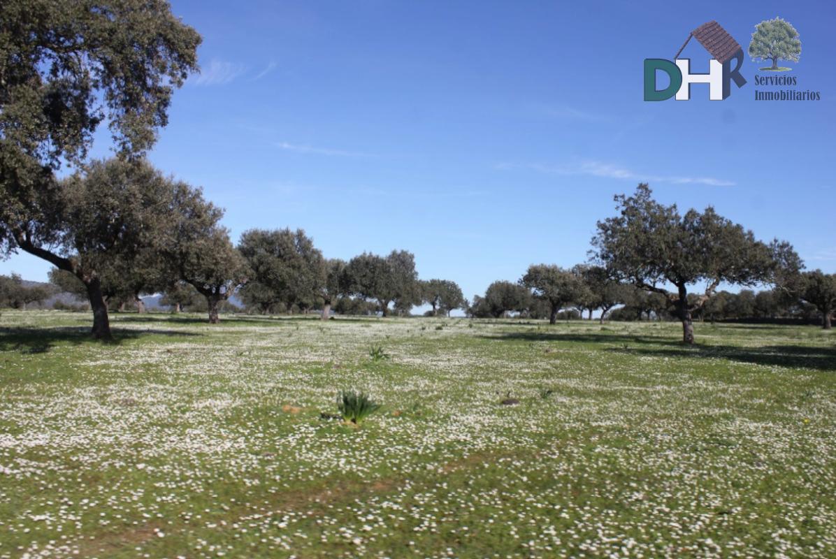 For sale of land in Cáceres