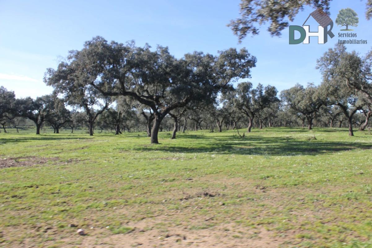 For sale of land in Cáceres