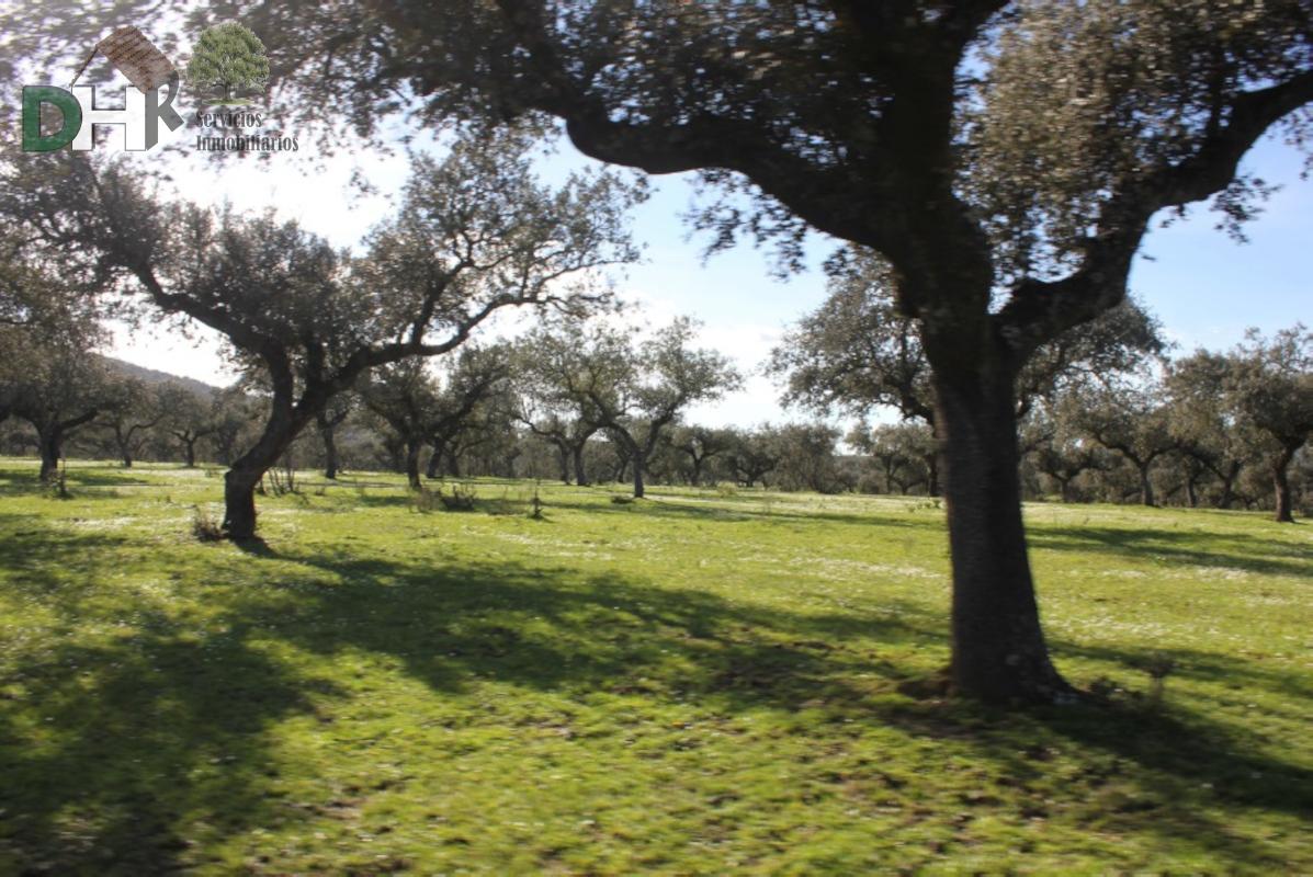 For sale of land in Cáceres