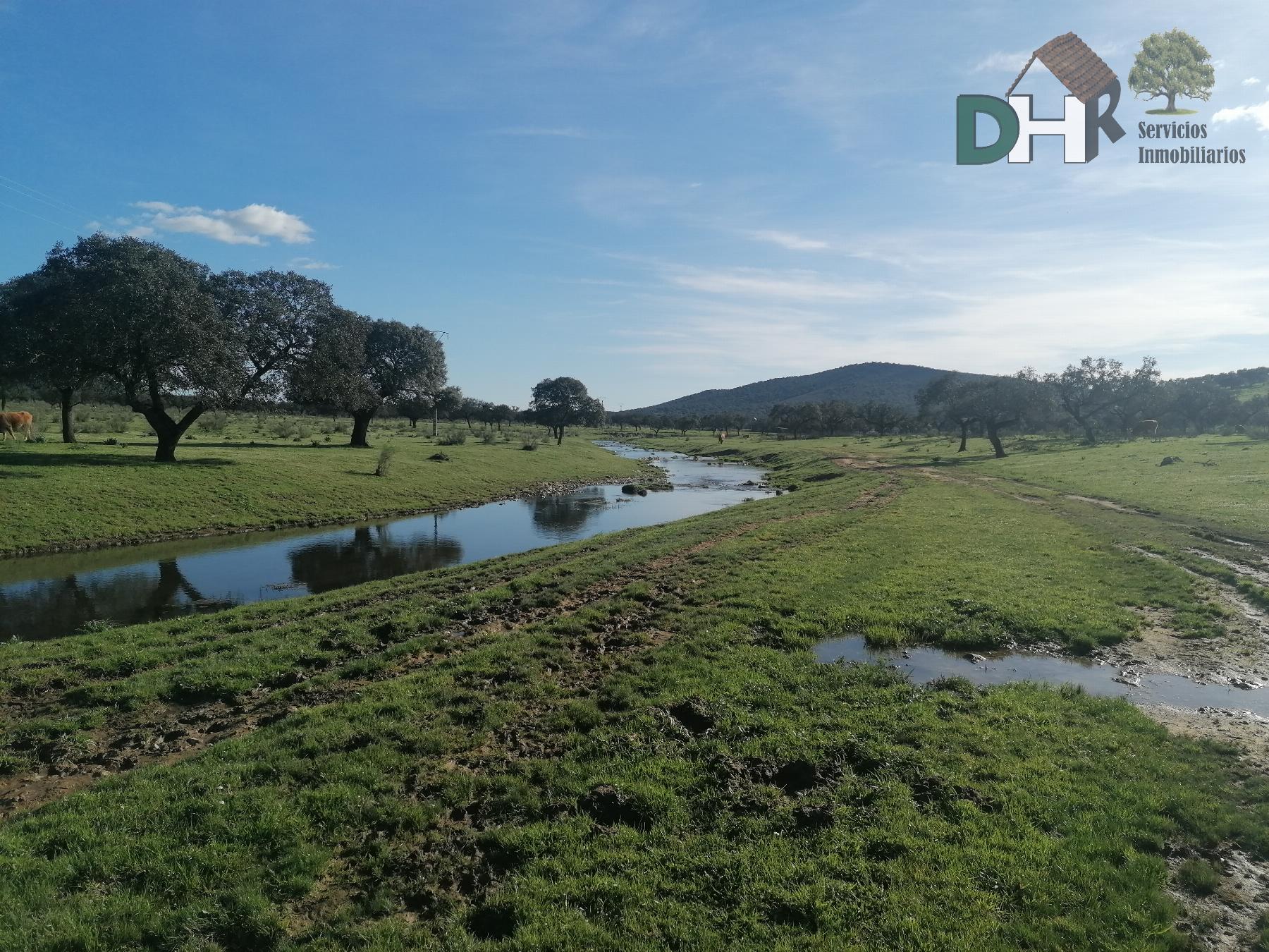 For sale of land in Cáceres