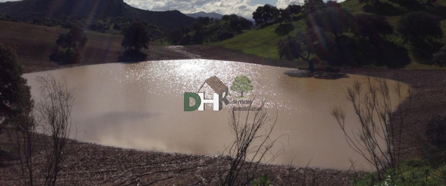 Venta de terreno en Sevilla