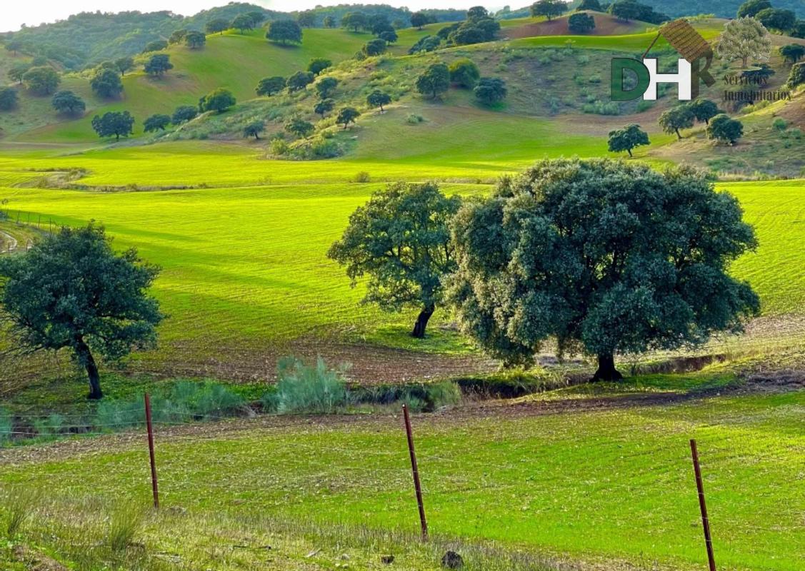 For sale of land in Sevilla