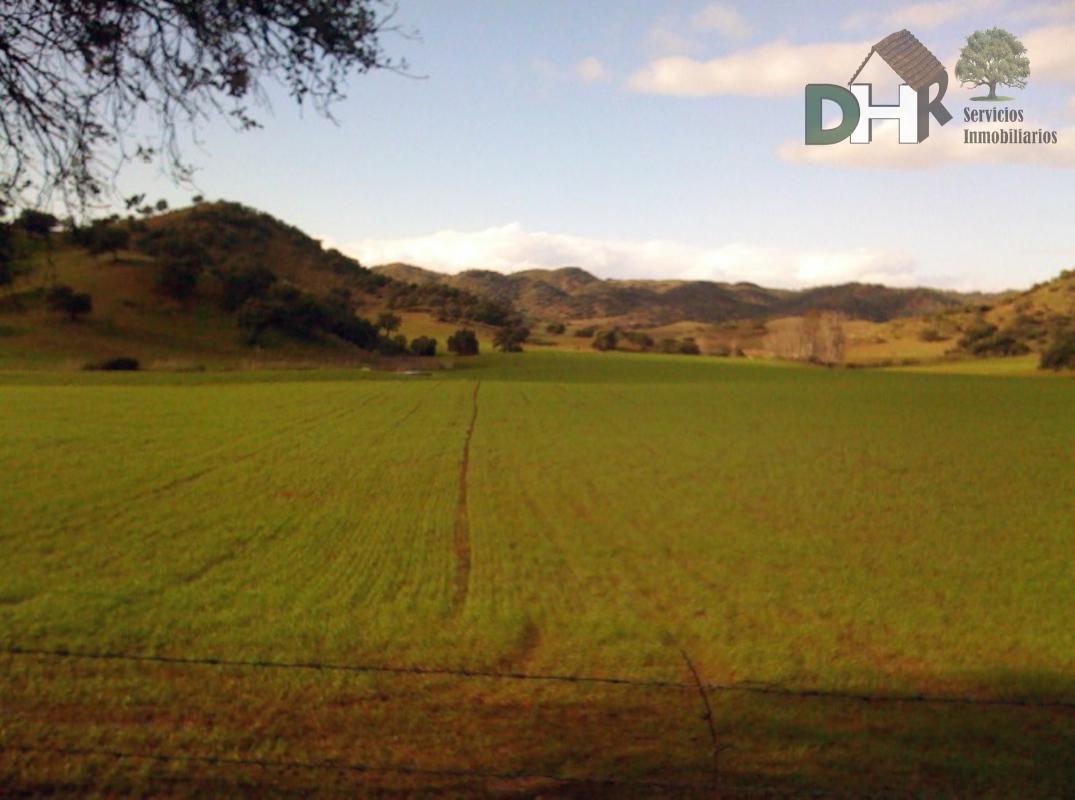 For sale of land in Sevilla