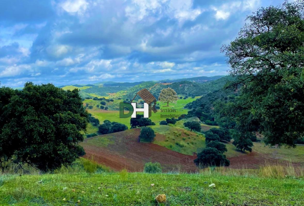 Venta de terreno en Sevilla