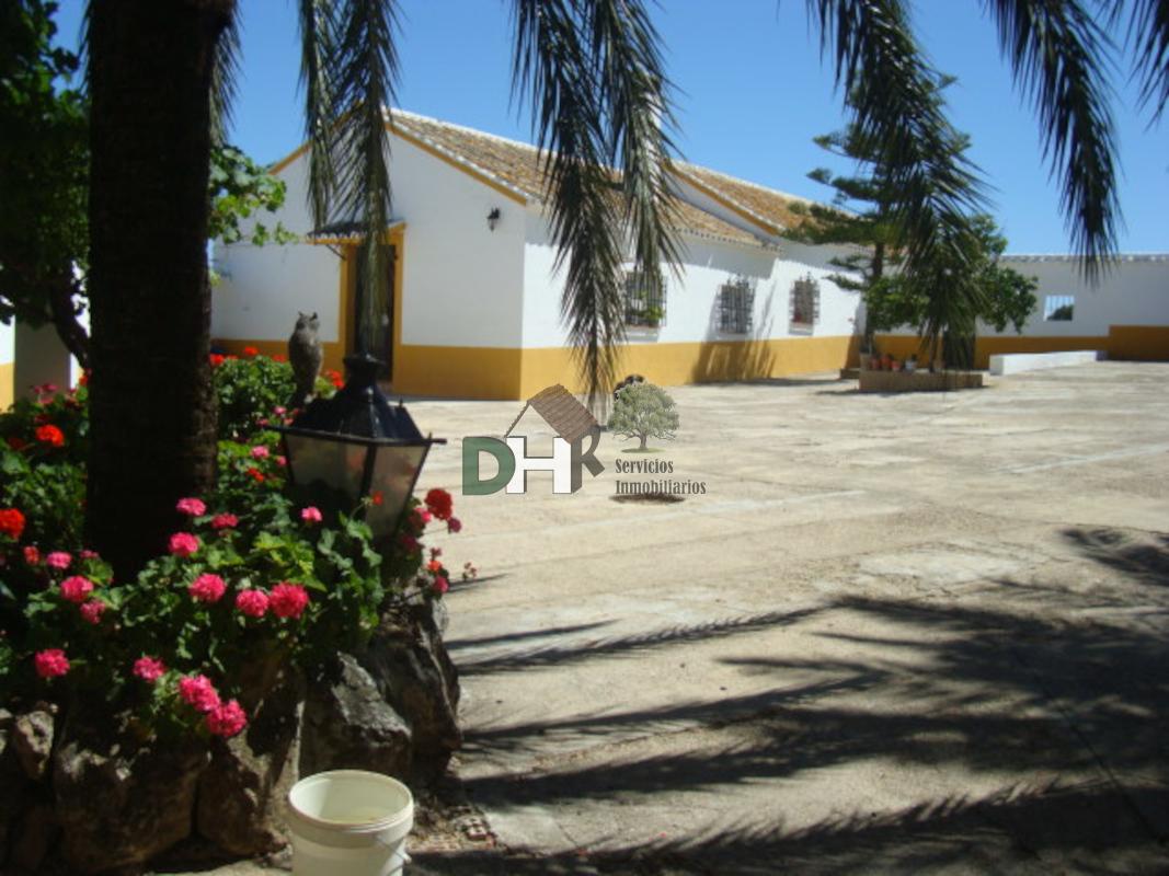 For sale of land in Sevilla