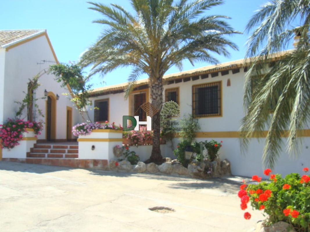 For sale of land in Sevilla