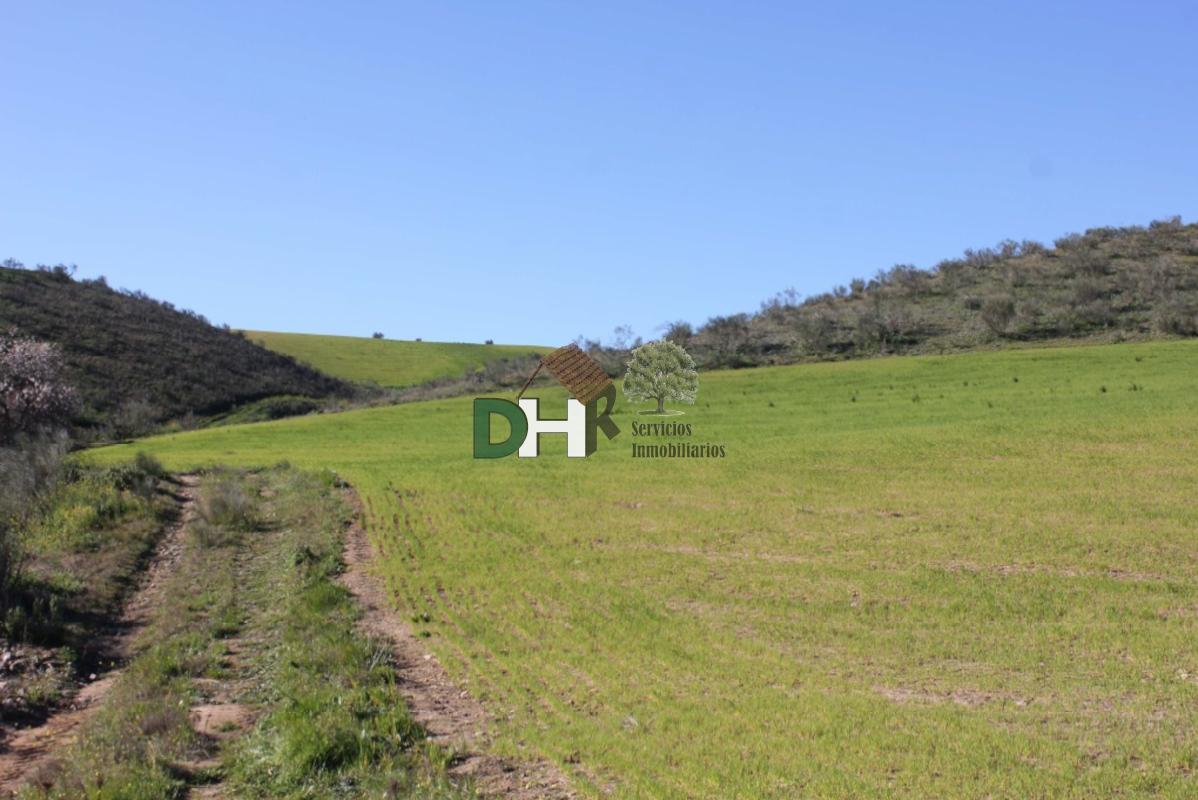 For sale of land in Toledo