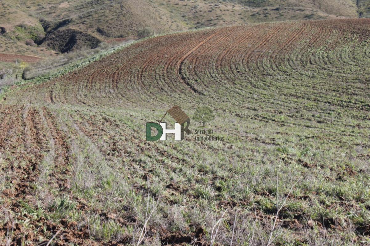 For sale of land in Toledo