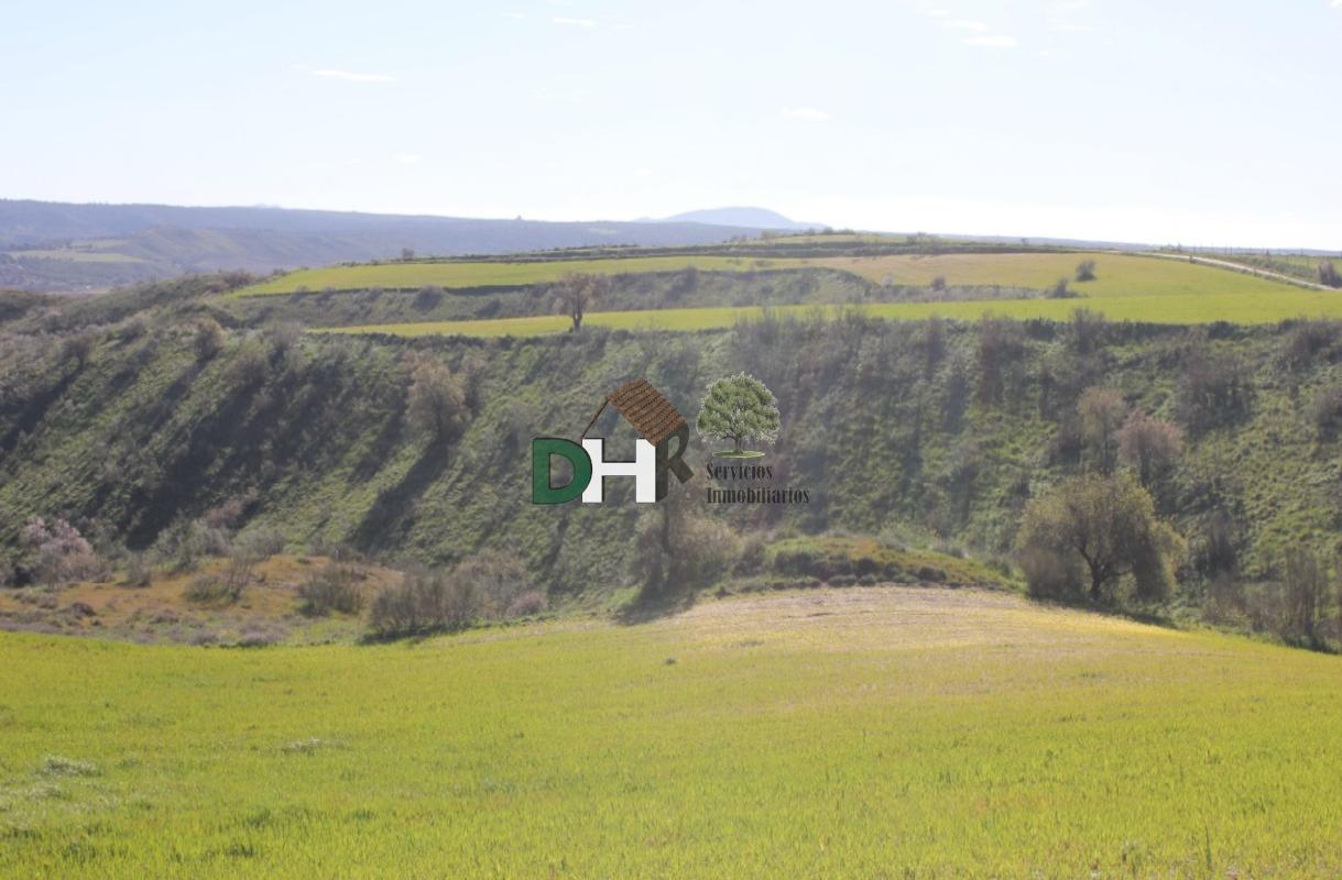 For sale of land in Toledo