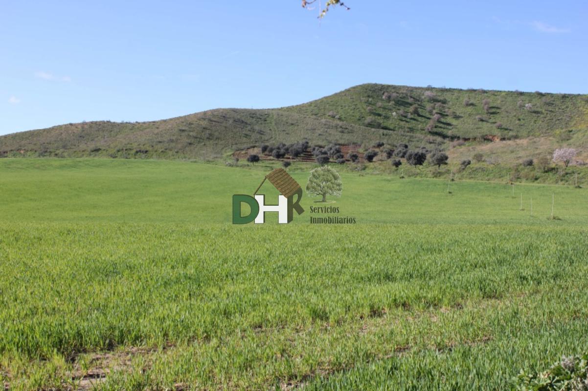 For sale of land in Toledo