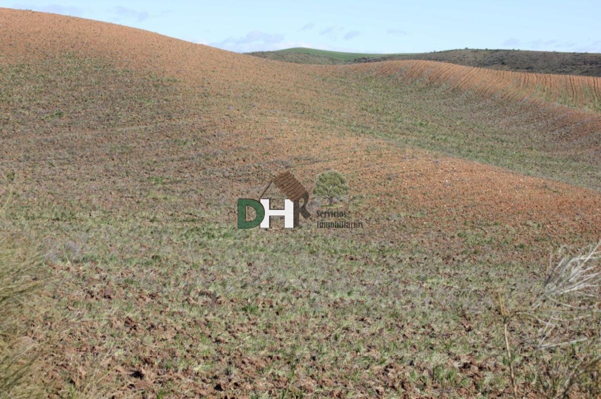 For sale of land in Toledo