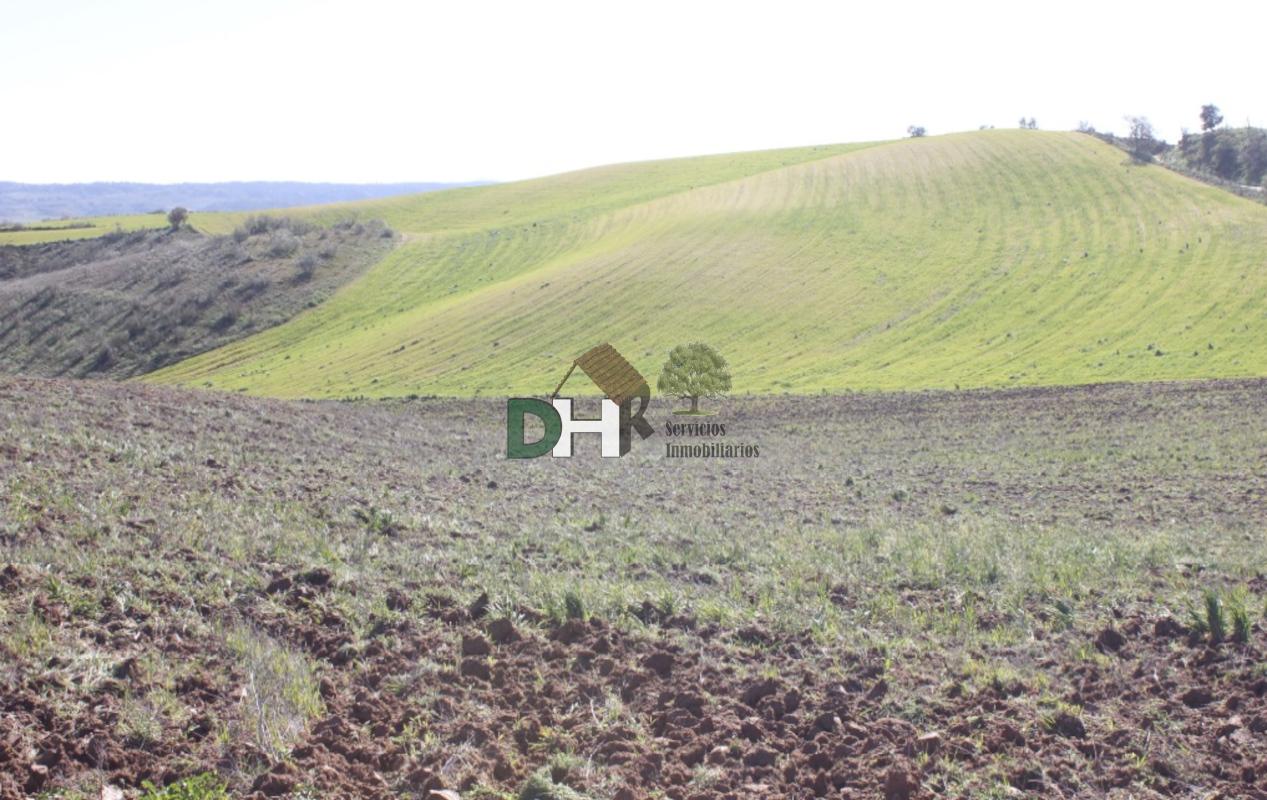 For sale of land in Toledo