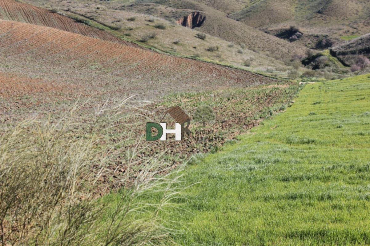 For sale of land in Toledo