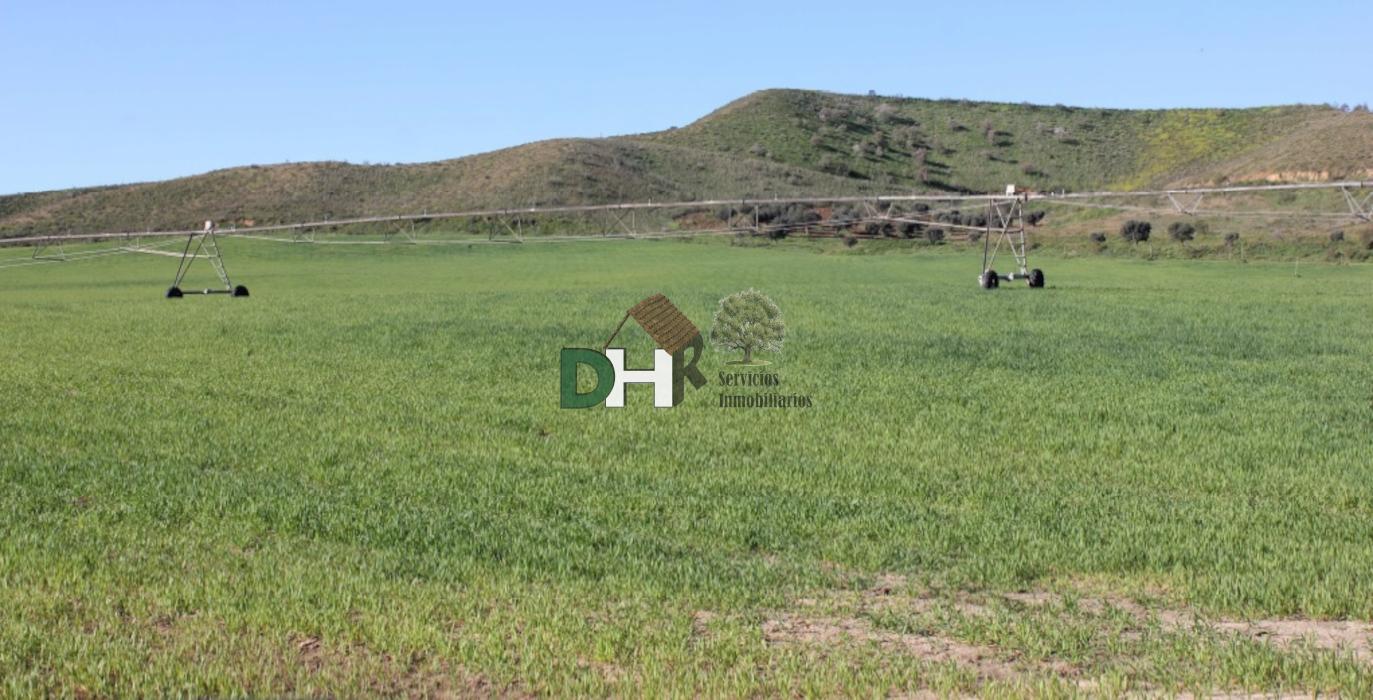 Venta de terreno en Toledo