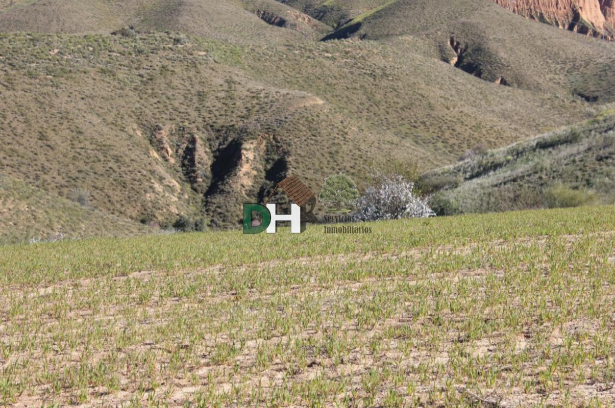For sale of land in Toledo