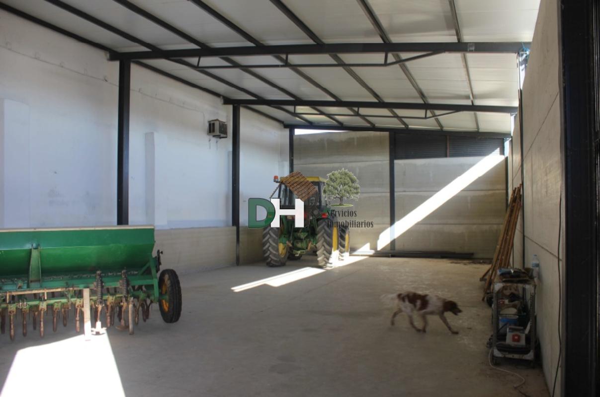 For sale of land in Toledo