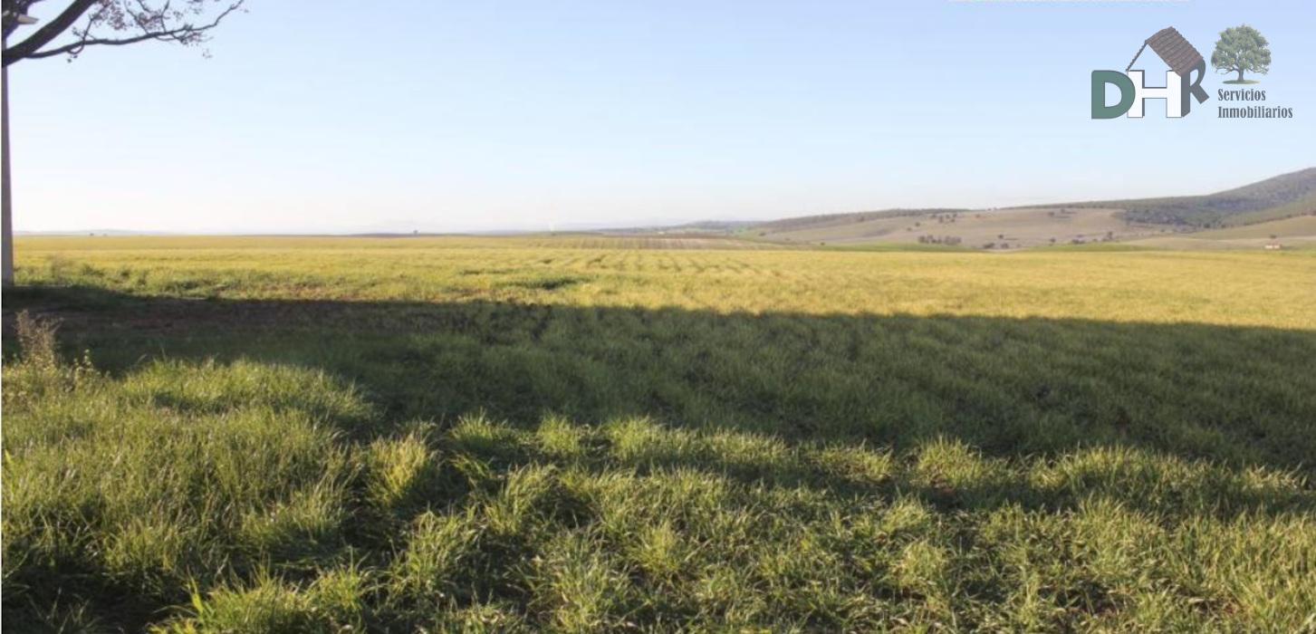 For sale of land in Salamanca