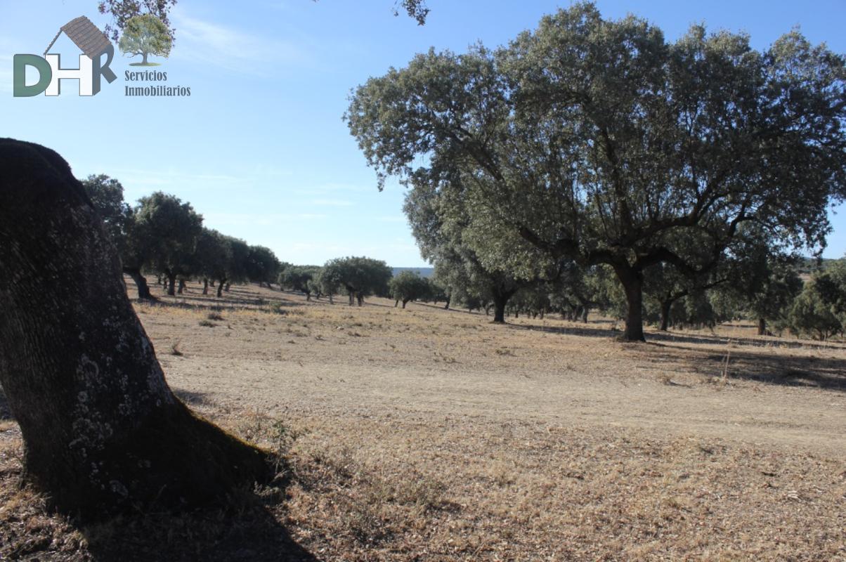 For sale of land in Cáceres