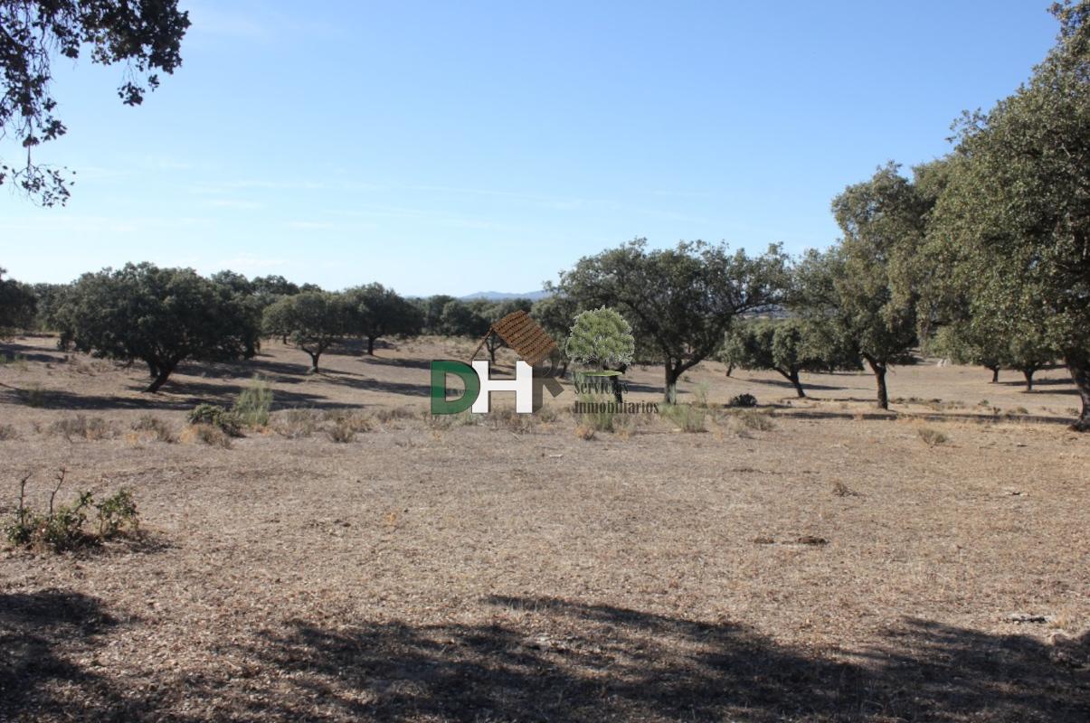 Venta de terreno en Cáceres