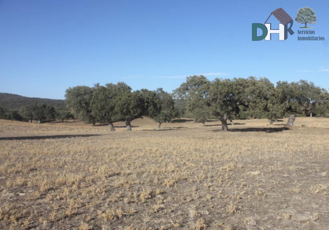 Venta de terreno en Cáceres